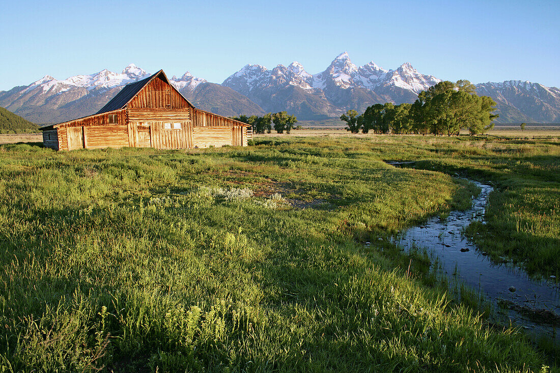 The Moulton Barn stands tall before the Tetons after over 100 hard winters, Grand Teton National Park, Wyoming, USA.