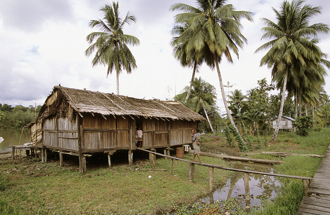Traditional asmat house in Amborep village, Western Papuasia, Former Irian-Jaya, Indonesia