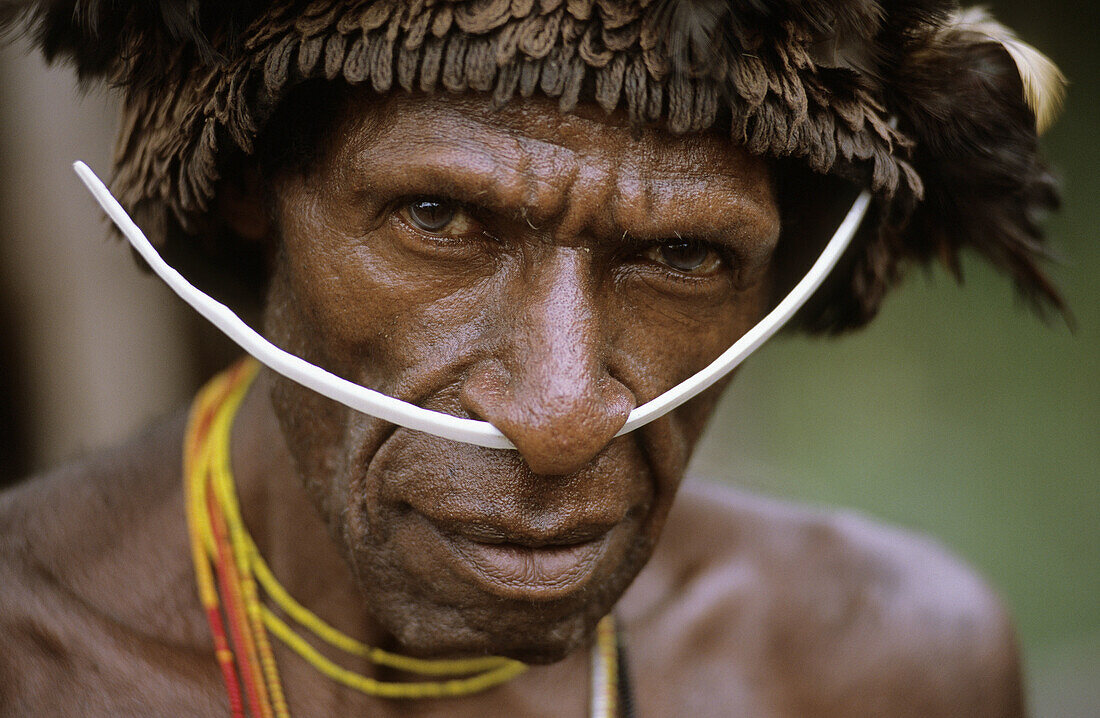 Dani man with head-dress and nose adornment made of bones, Western Papuasia, Baliem valley, Former Irian-Jaya, Indonesia