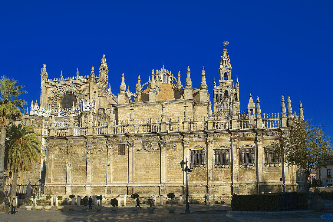 Cathedral, Sevilla. Andalusia, Spain