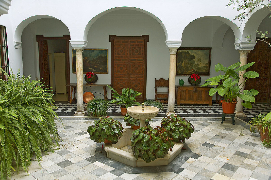 Typical courtyard in Santa Cruz quarter, Sevilla. Andalusia, Spain