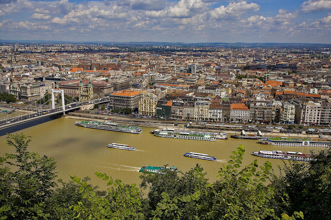 Danube river, Elisabeth bridge. Budapest. Hungary