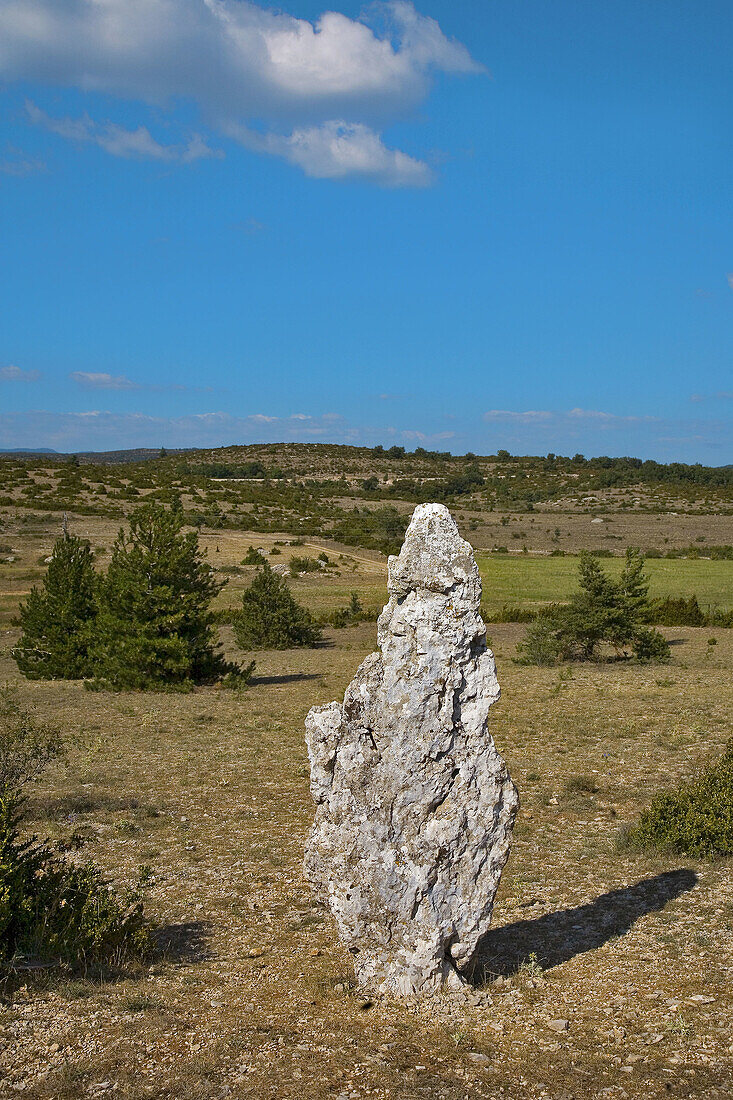 menhir in south of france : roussillon