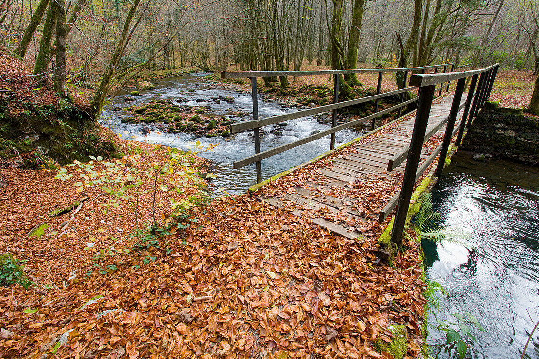 Bridge over small river in Autumn