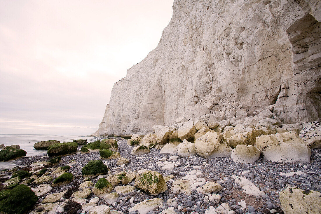 Kreideküste bei Seaford, East Sussex, England, Europa