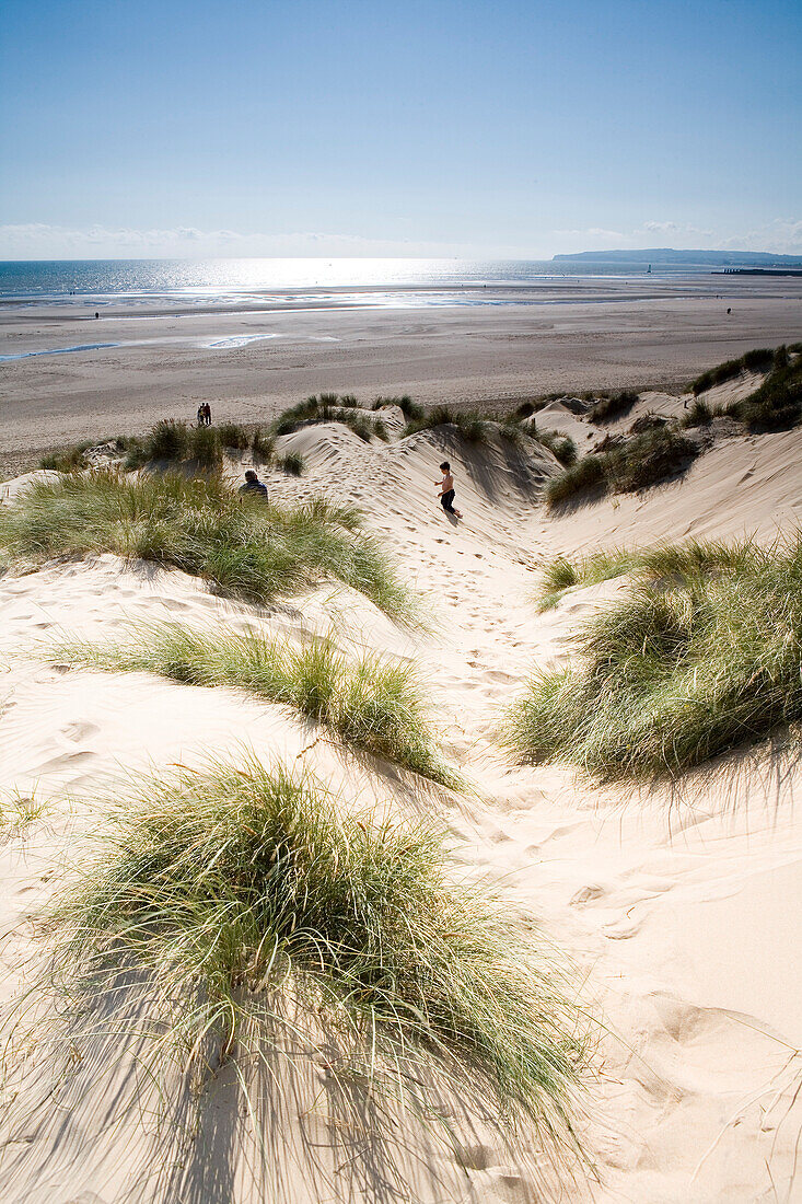 Sand dunes in Camber Sands, Kent, England, Europe