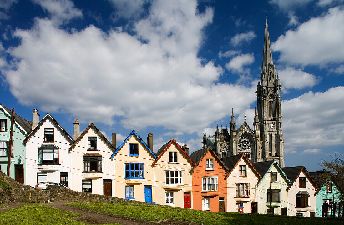 Row of houses, colourful terrace houses with cathedral in the background, West View in Cobh, County Cork, Ireland, Europe