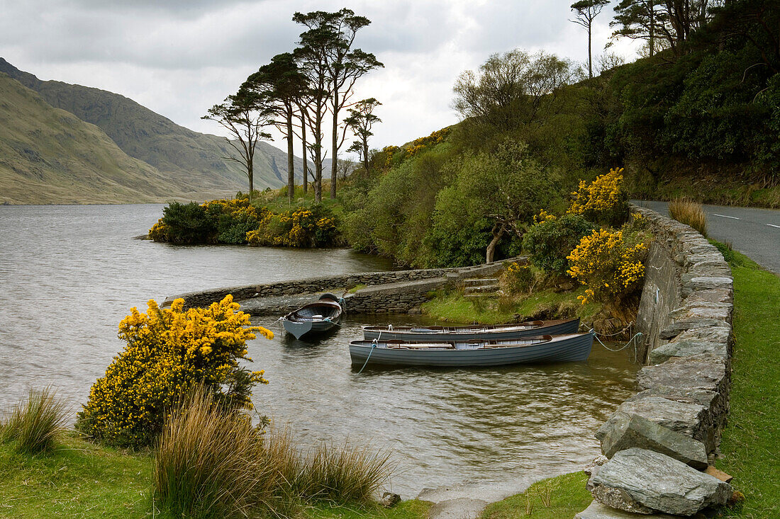 See mit Boote, Doo Lough, Connemara, County Mayo, Irland, Europa