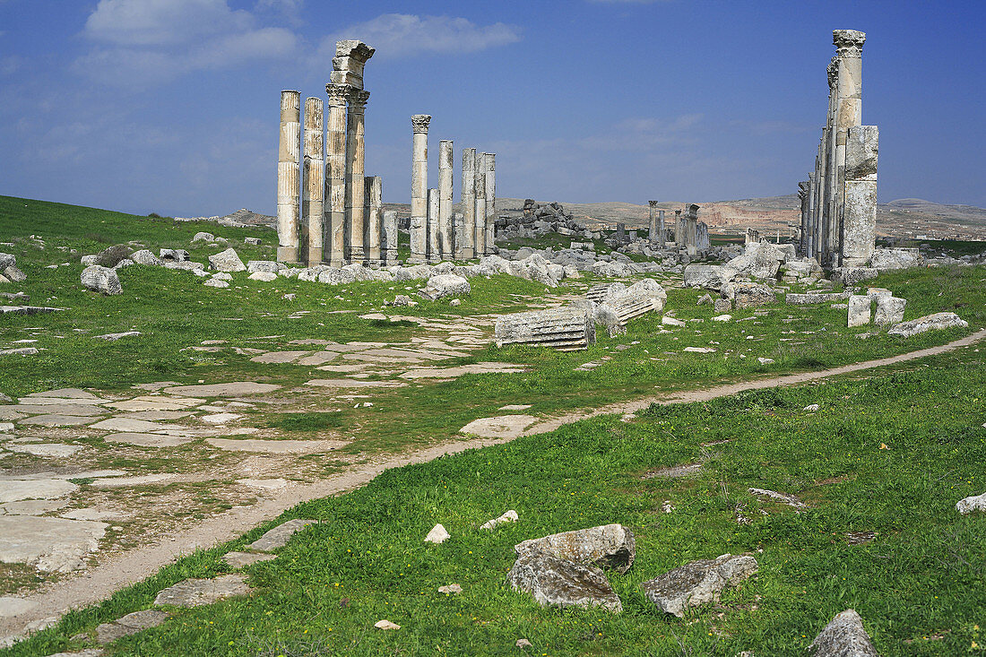 Roman city Apamea (modern Afamia), Syria