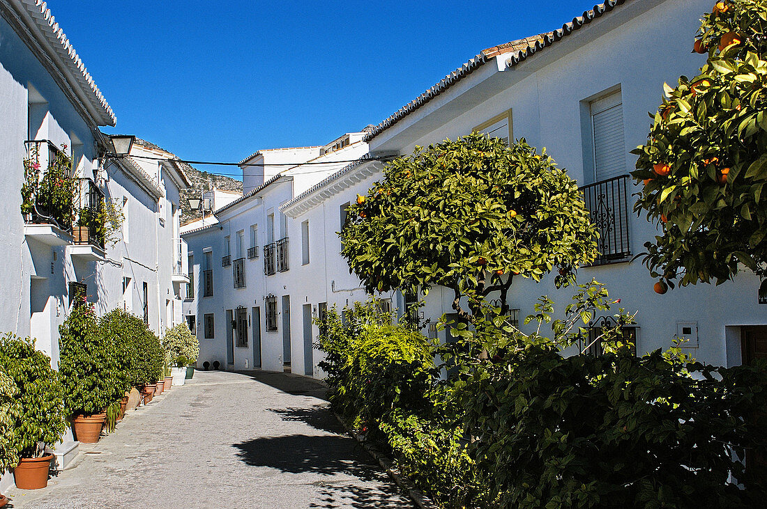 Typical street, Benalmádena. Málaga province, Costa del Sol. Andalusia, Spain