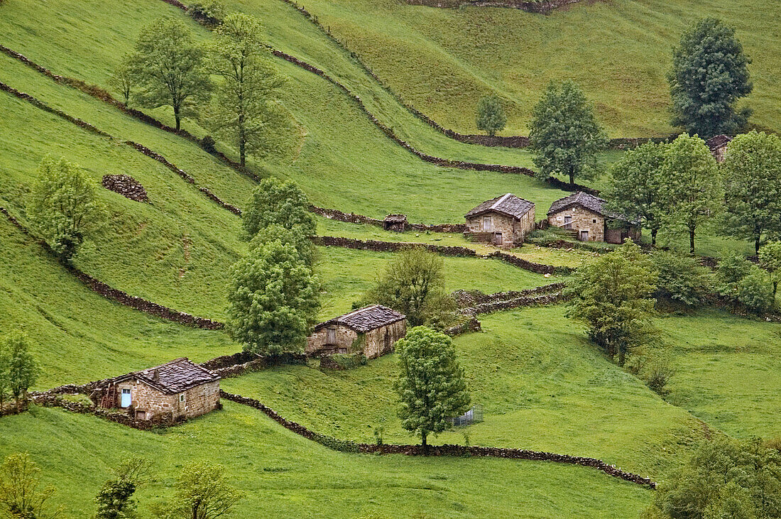 Vega de Pas landscape, Cantabria, Spain