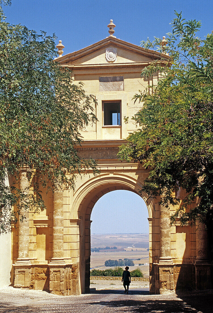 Córdoba door. Carmona. Sevilla province. Andalucia. Spain.