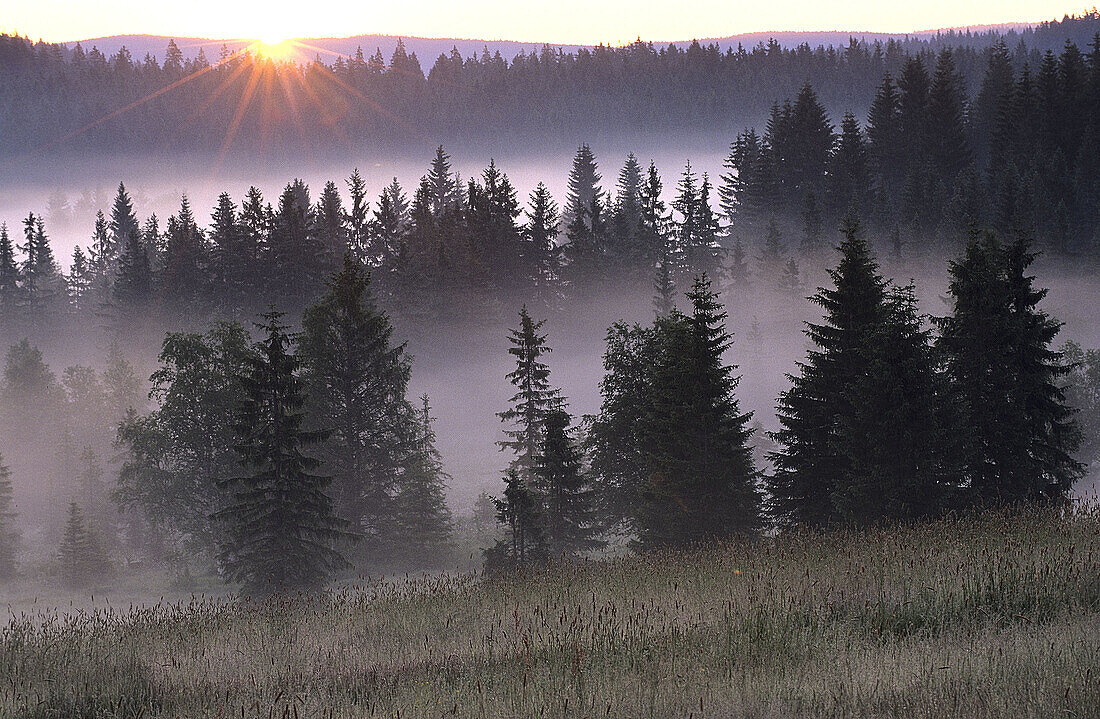Early morning mist over low mountain range, Sumava National Park. Czech Republic