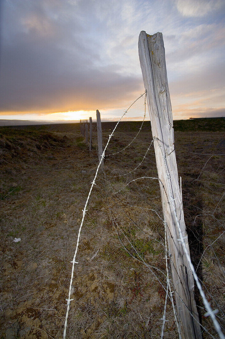 Barbed wire on a fence during the midnight sunset. Reykjavik, Iceland