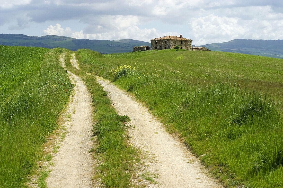 Country gravel road in Tuscany, Italy.