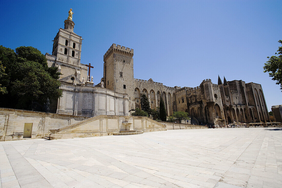 Papal Palace. Avignon. Provence, France