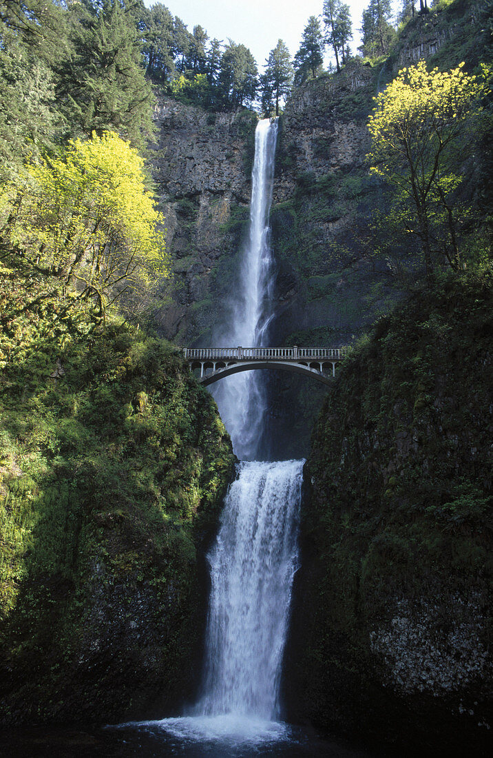 Spring. Multnomah Falls. Columbia River Gorge. Oregon. USA.