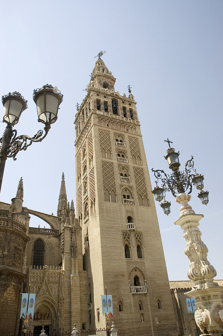 Giralda tower, Sevilla. Andalusia, Spain