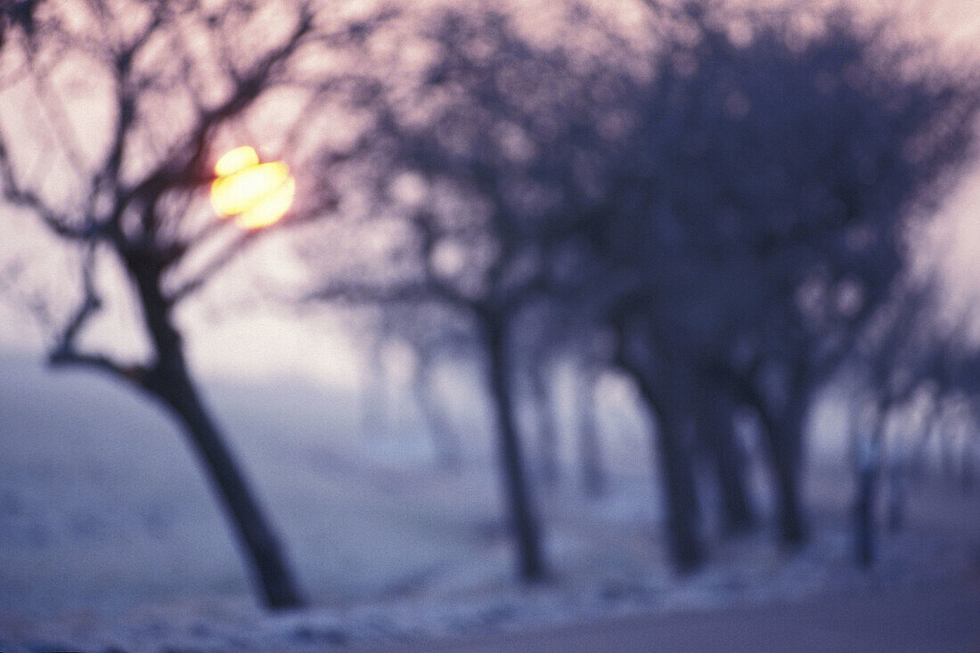 Road in winter with morning sun in dust.