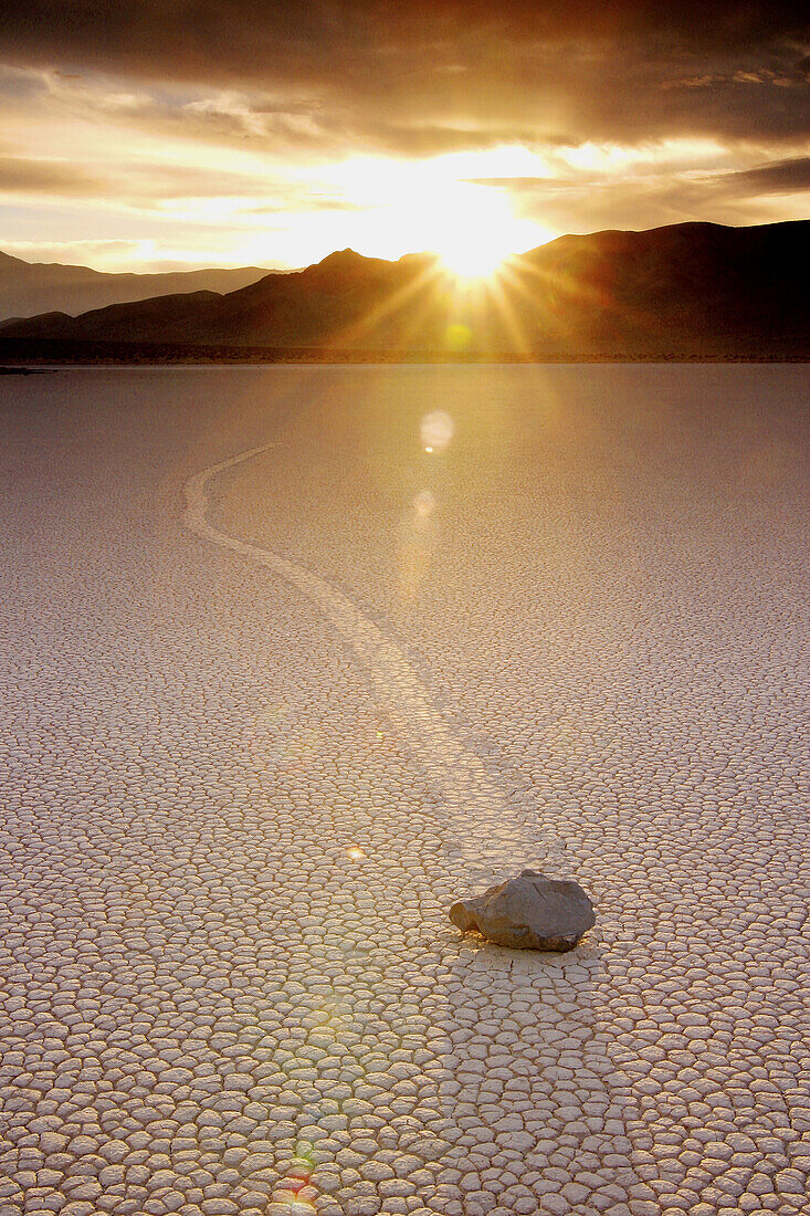 Moving rock. Racetrack Playa. Death Valley National Park. California. USA
