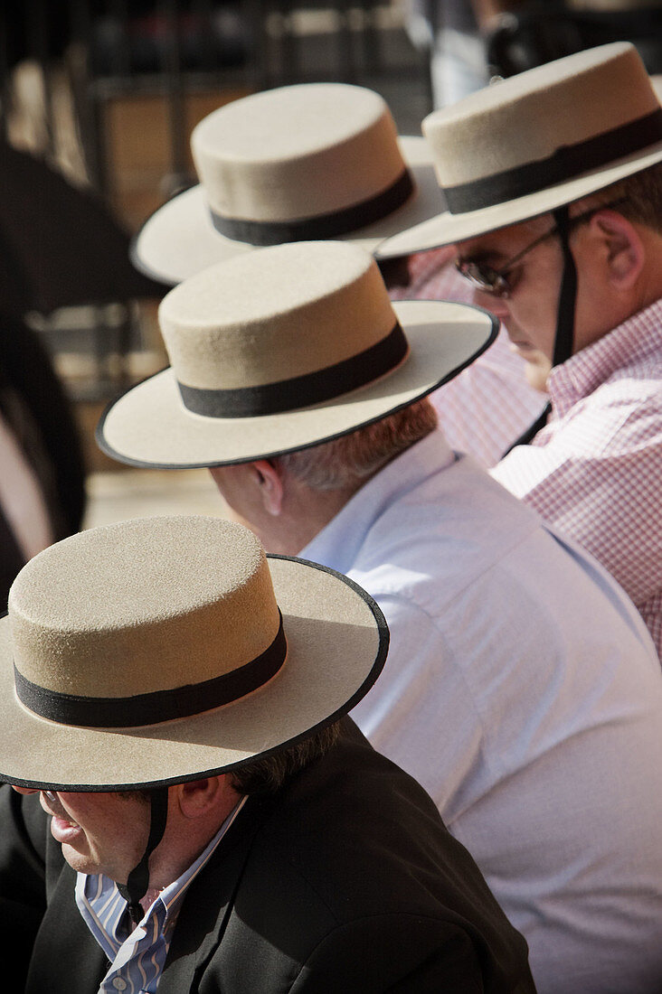 Bullfight spectators with typical hats. Real Maestranza de Sevilla. Andalucia. Spain.