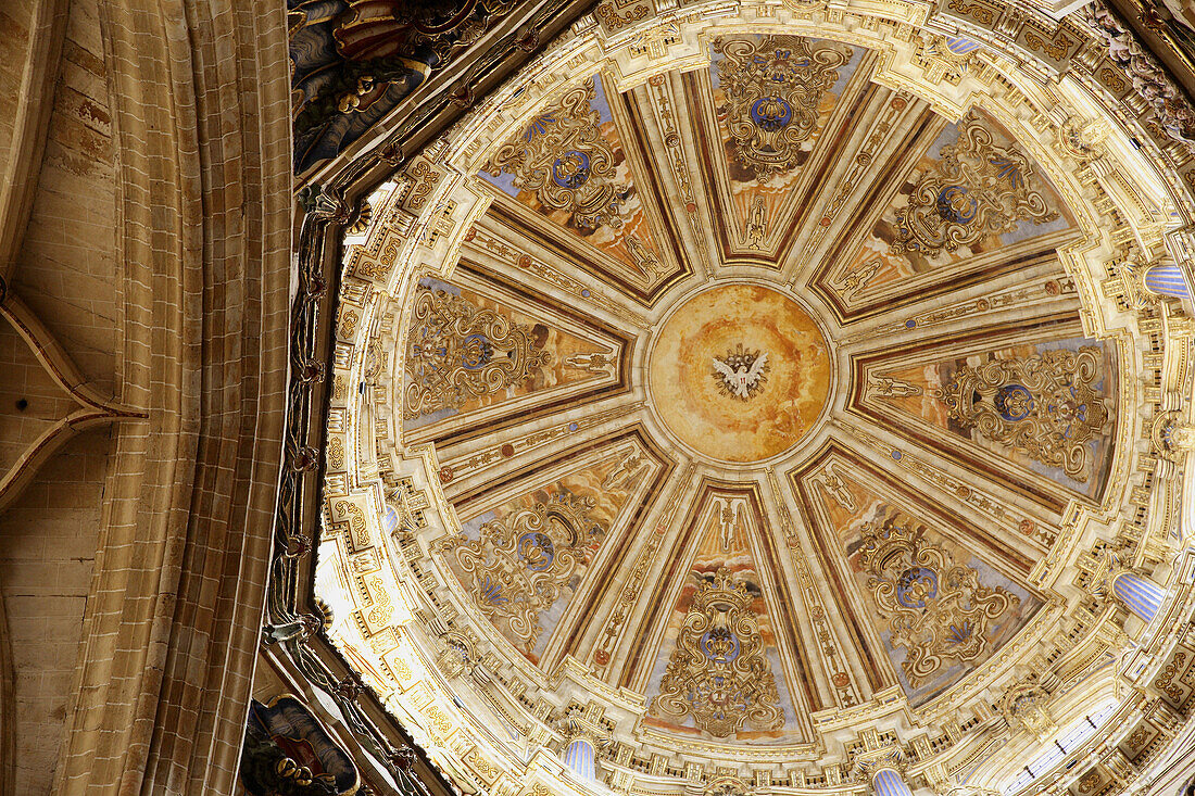 Dome of the new cathedral, Salamanca. Castilla-León, Spain
