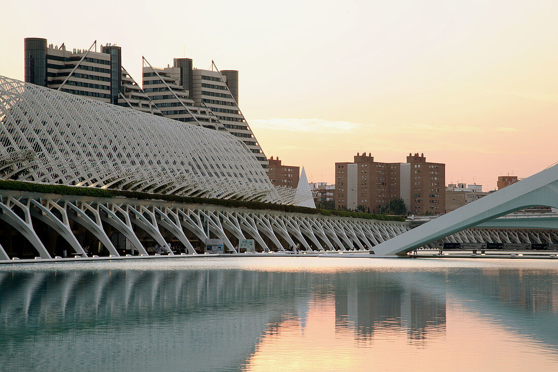 City of Arts and Sciences, Valencia. Comunidad Valenciana, Spain