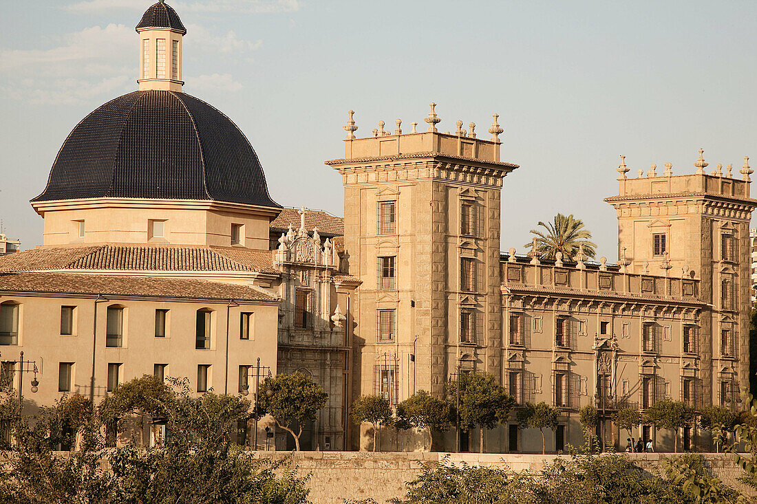 Museum of Fine Arts, Valencia. Comunidad Valenciana, Spain