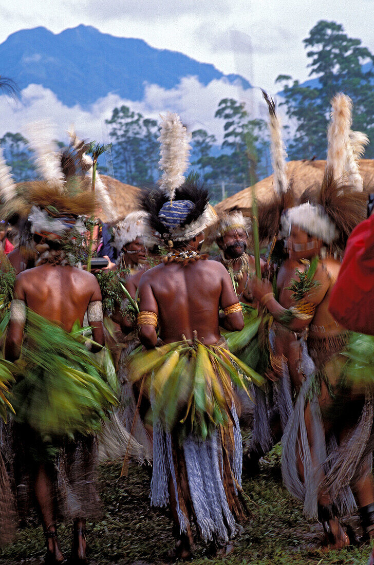 Sing-sing Ceremony. Asia, Papua New Guinea, Mt. Hagen.
