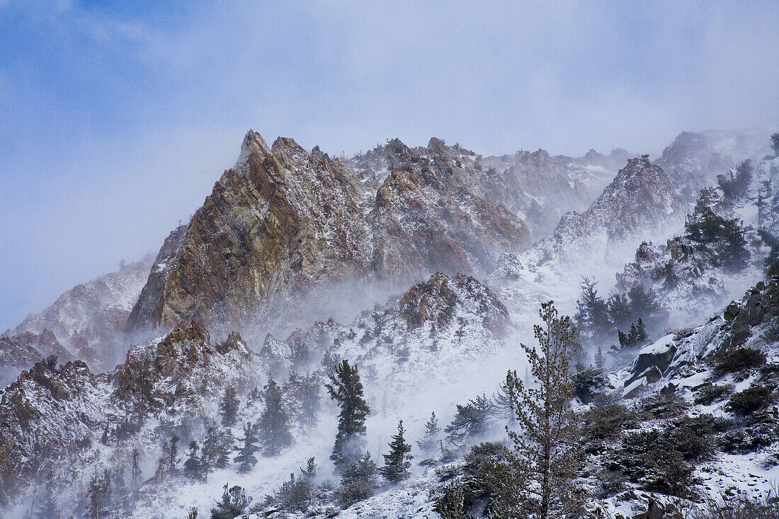 Windy, wintery scene in the Sierra Mountains in California. USA.