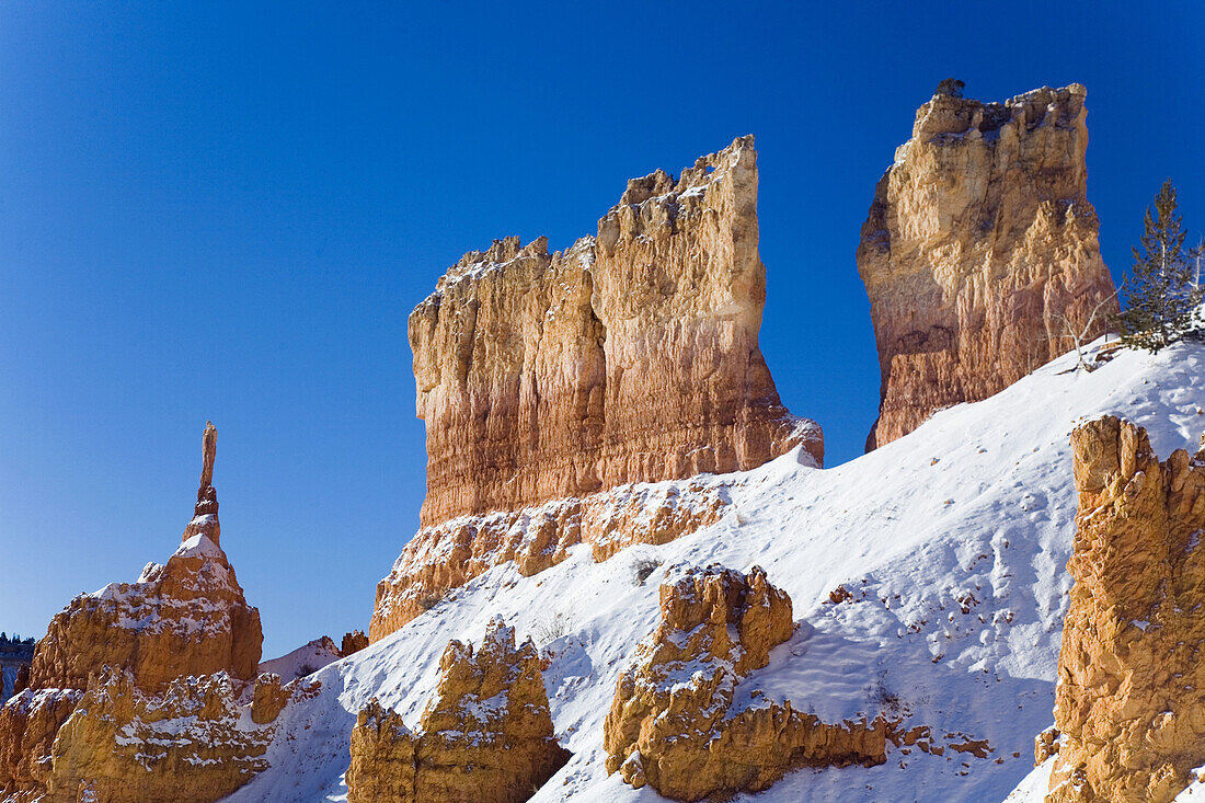 Bryce Canyon Utah in Winter. USA.