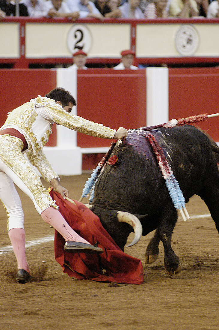 Action, Andalucia, Andalusia, Animal, Animal abuse, Animals, Blood, Bull, Bull-ring, Bull-rings, Bullfight, Bullfighter, Bullfighters, Bullfighting, Bullfights, Bullring, Bullrings, Bulls, Color, Colour, Cruel, Cruelty, Daytime, Europe, Exterior, Folk, Fo