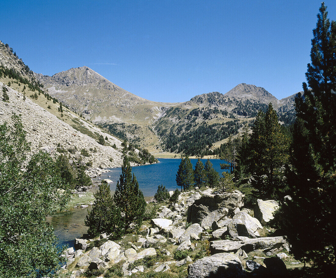 Estany Llong. Parc Nacional dAigües Tortes. Lleida. Catalonia. Spain