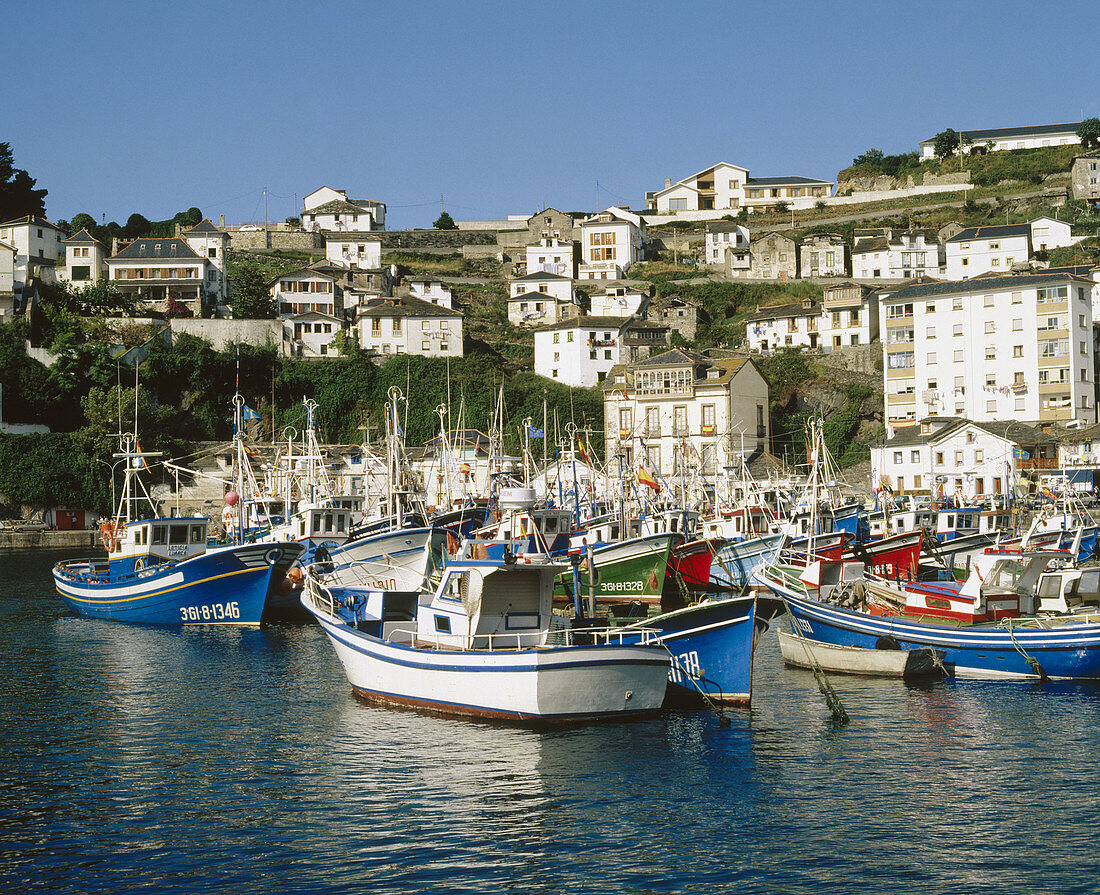 Fishing port. Luarca, Concejo de Valdés, Asturias, Spain