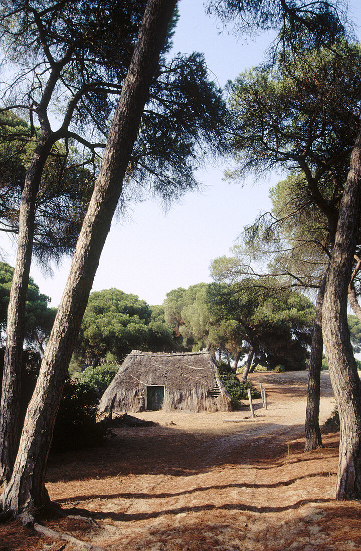 Chozos (typische Behausungen) im Dorf La Plancha. Doñana-Nationalpark. Provinz Huelva. Spanien