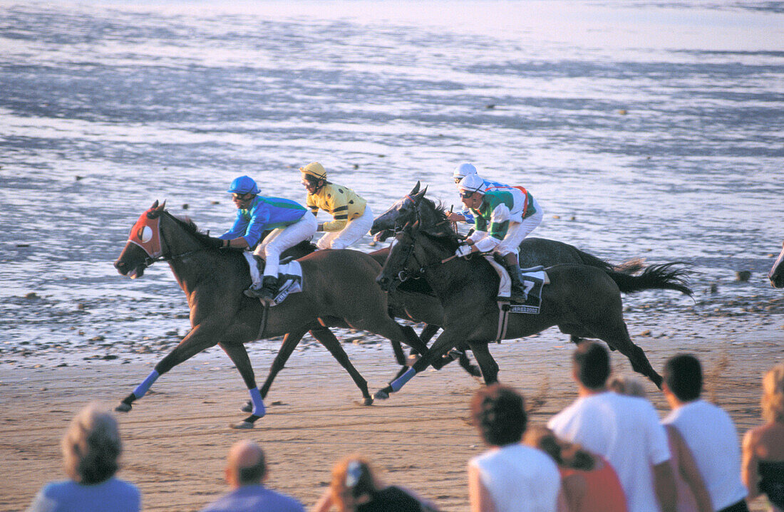 Horse race. Sanlucar de Barrameda. Spain