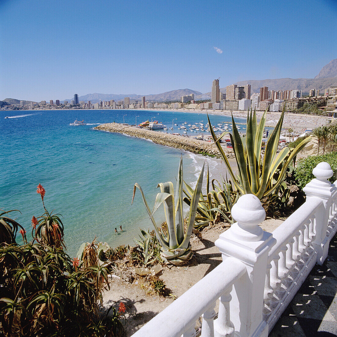 Benidorm. Provinz Alicante. Spanien