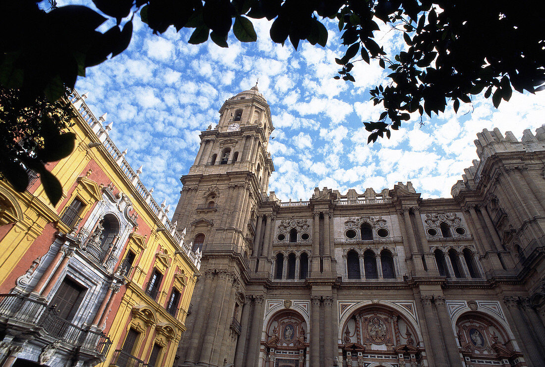 The Cathedral and Episcopal Palace. Málaga. Spain