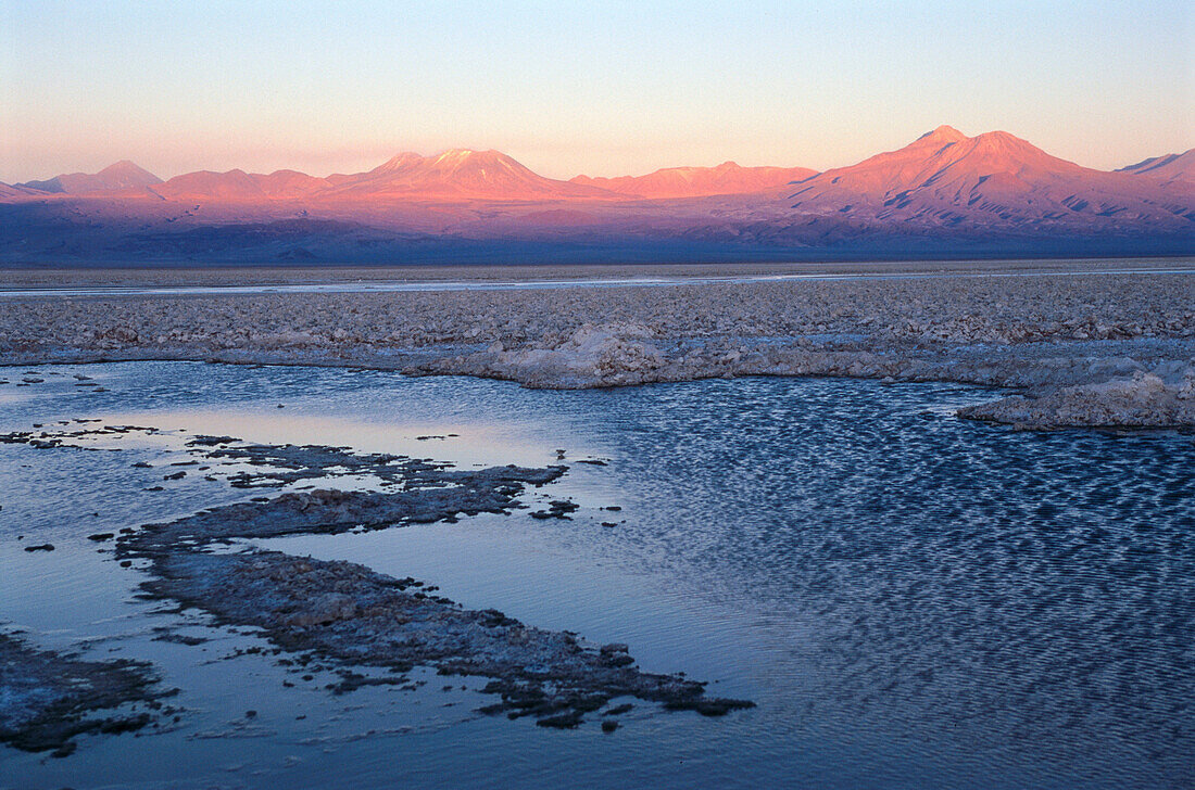 Laguna Chaxa, Salar de Atacama, Atacama Desert, Chile
