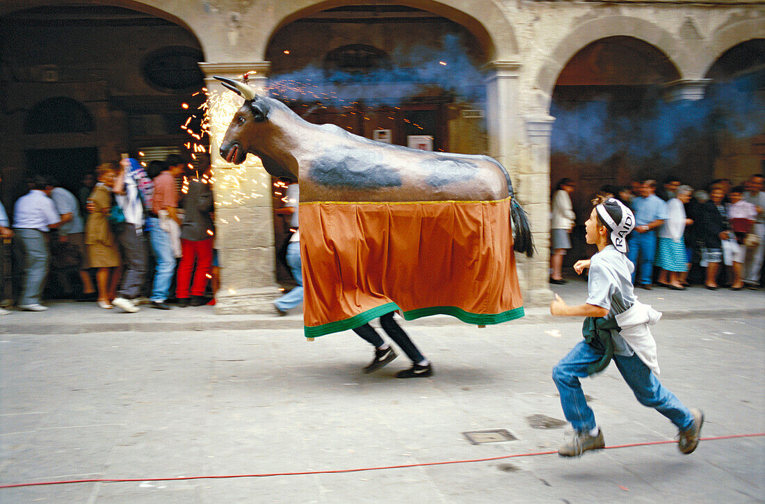 Bou (bull) at local festivities. Solsona, Solsonés, Lleida province, Catalonia, Spain