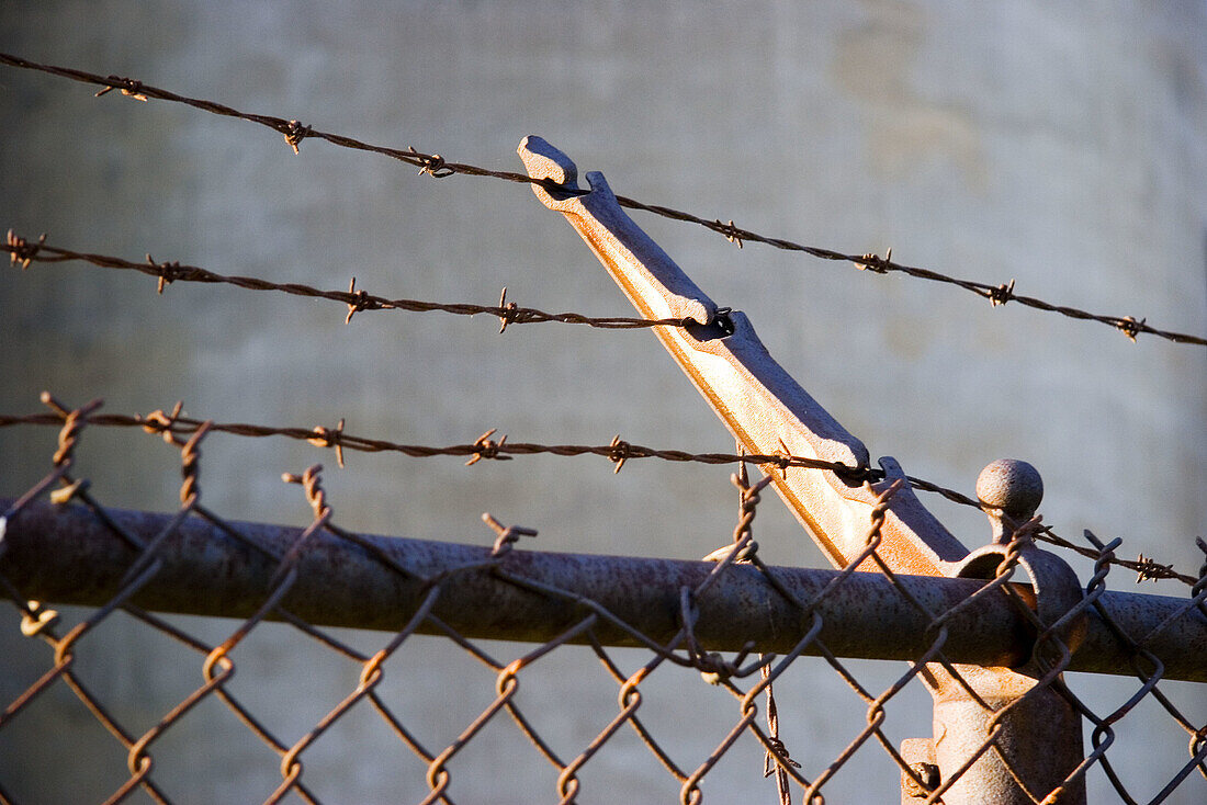 Barbed wire.