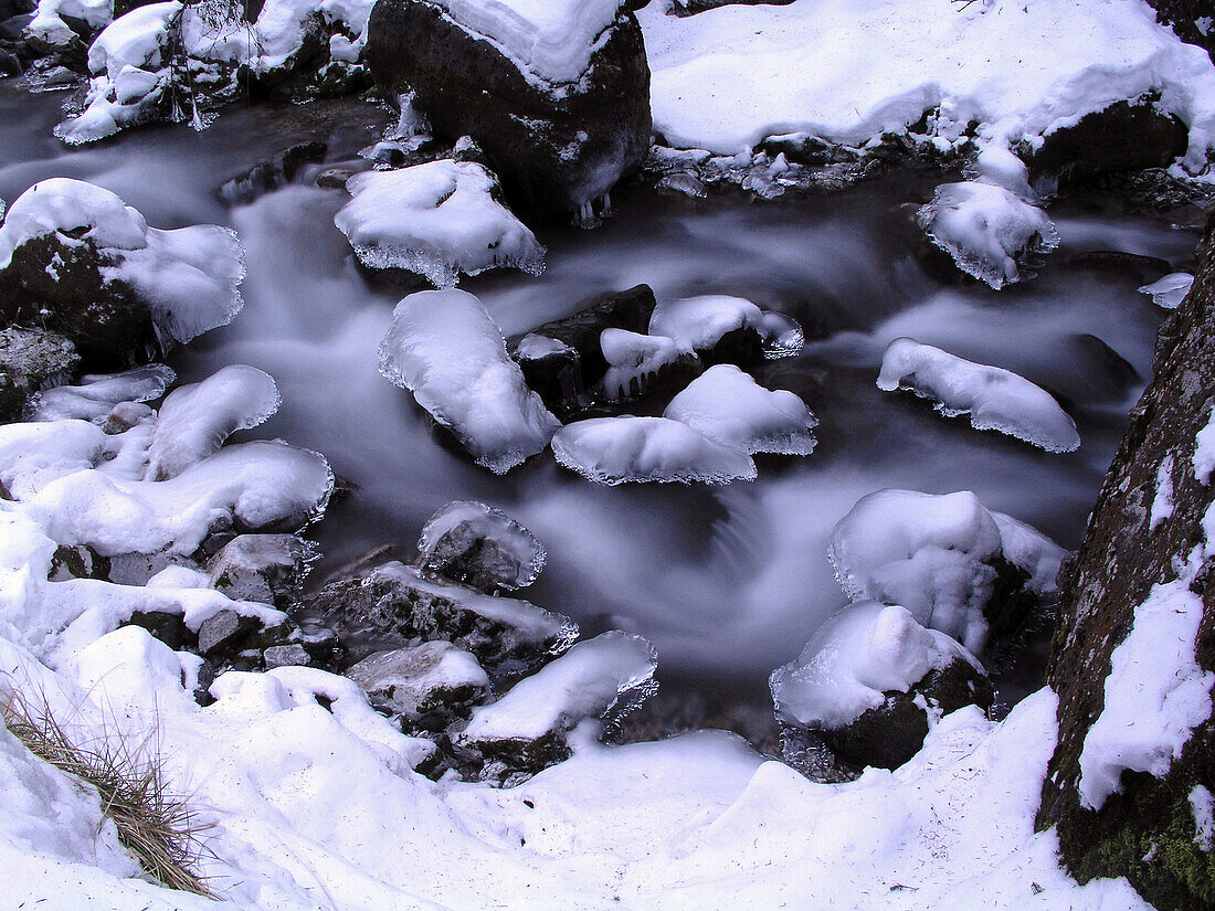 winter torrent in Italy, Trentino Alto Adige, Serrai di Sottoguda