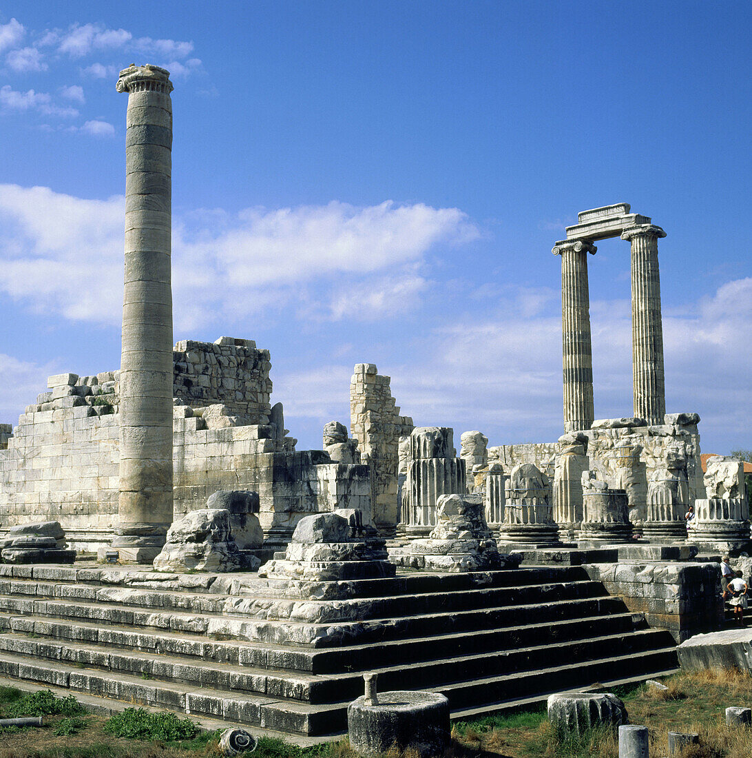 Temple of Apollo. Didyma. Turkey.