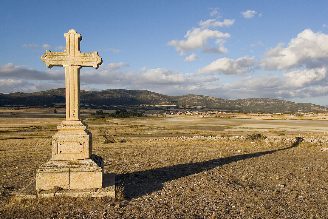 Stone cross near  Laguna de Gallocanta. Aragon. Spain.