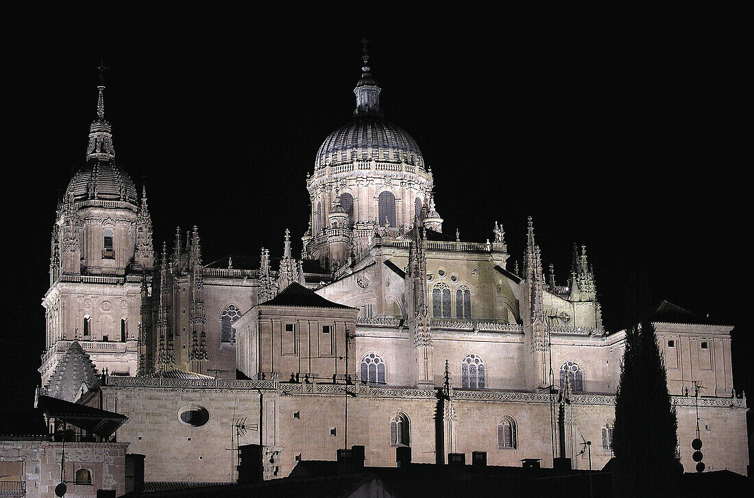 Night view. Cathedral. Salamanca. Spain.