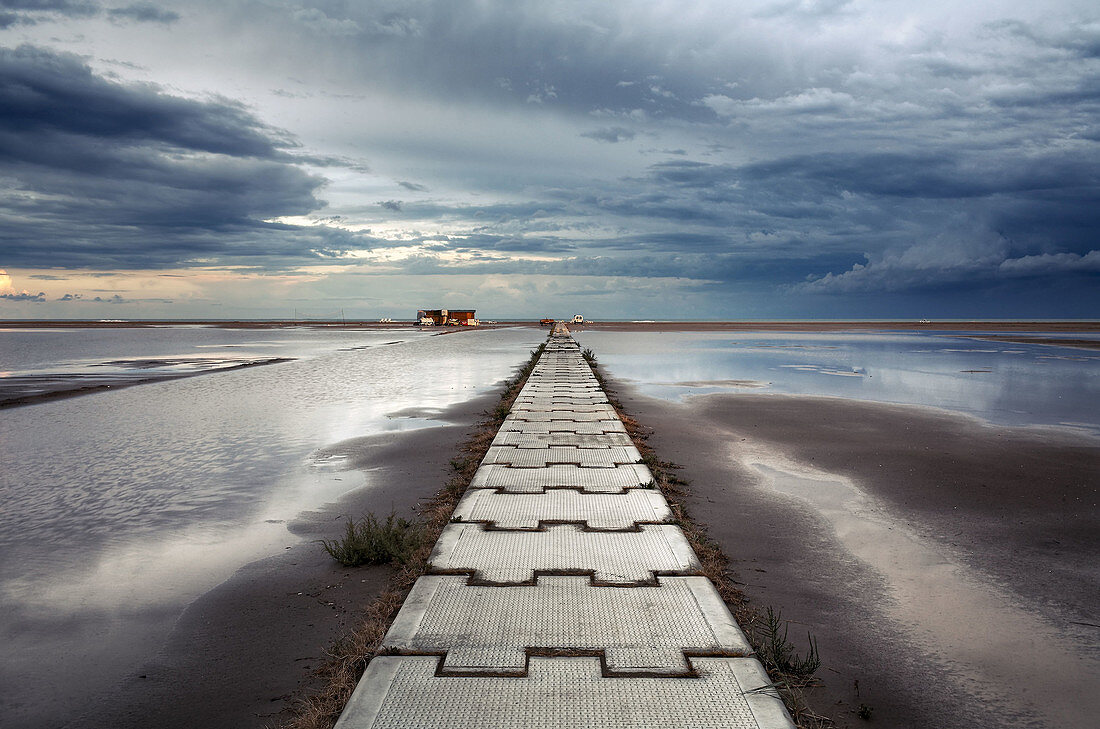 Eucaliptus beach. Delta del Ebro. Tarragona province. Catalonia, Spain