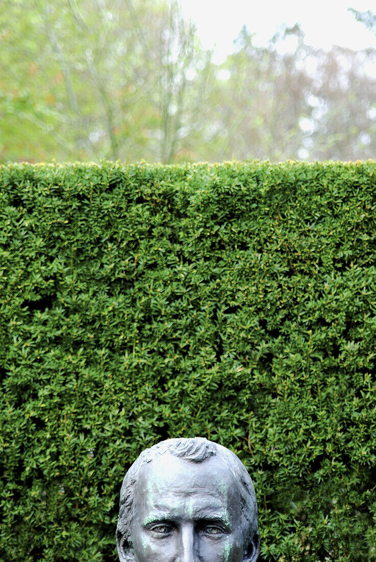 peeking statue head with hedge behind