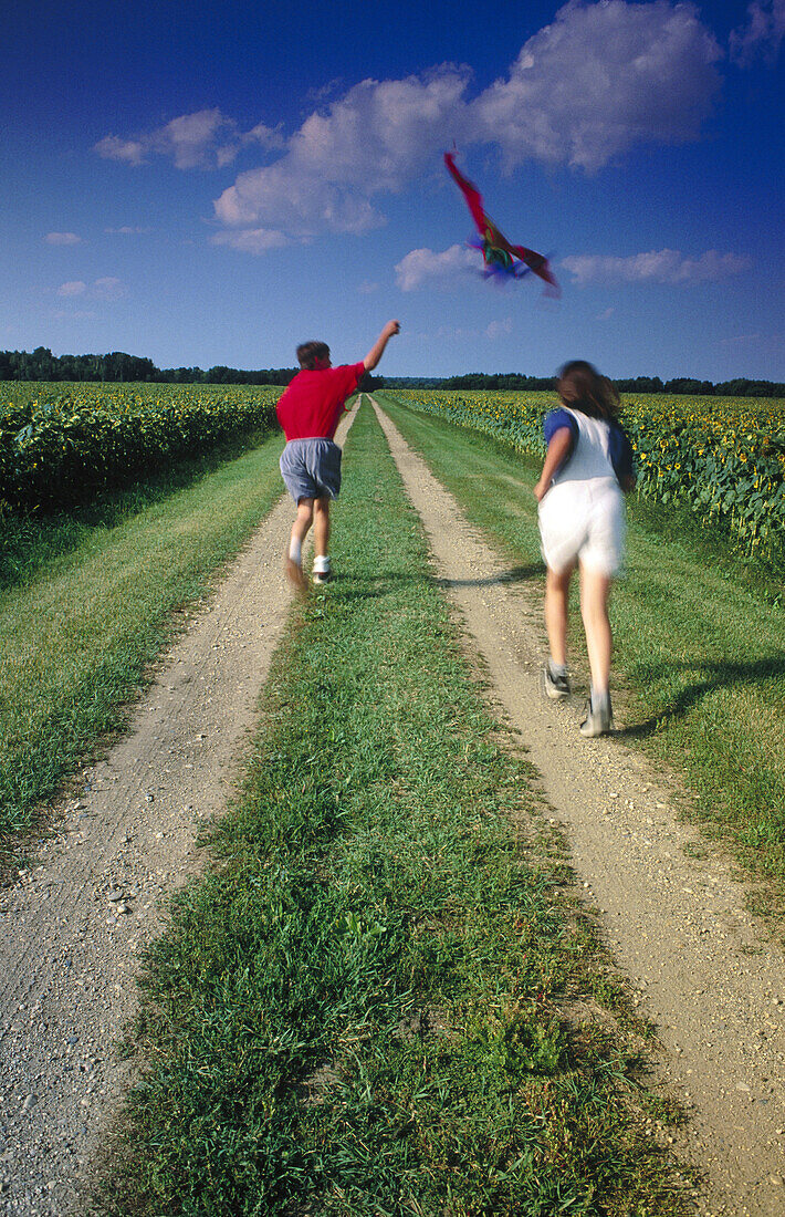 Children flying kite along a sunflower field