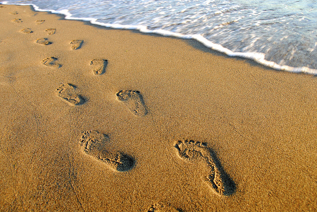 footprints along shore on beach
