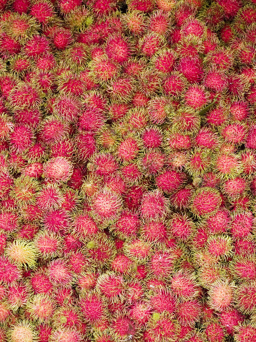 Rambutans for sale in market, Thailand